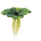 Exo-Terra Water Lettuce - Pianta acquatica galleggiante in plastica